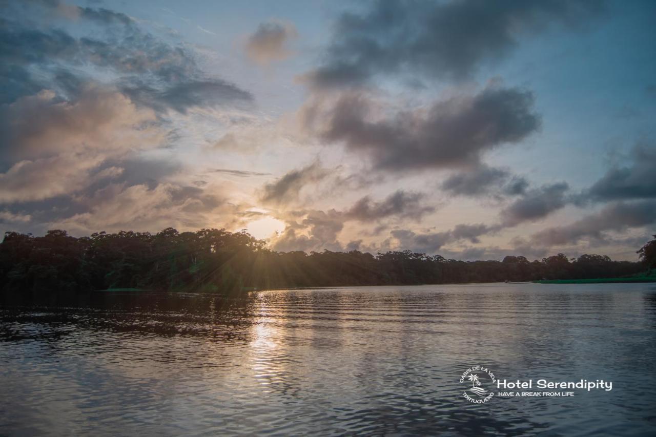 El Deseo Serendipity Tortuguero Exteriér fotografie