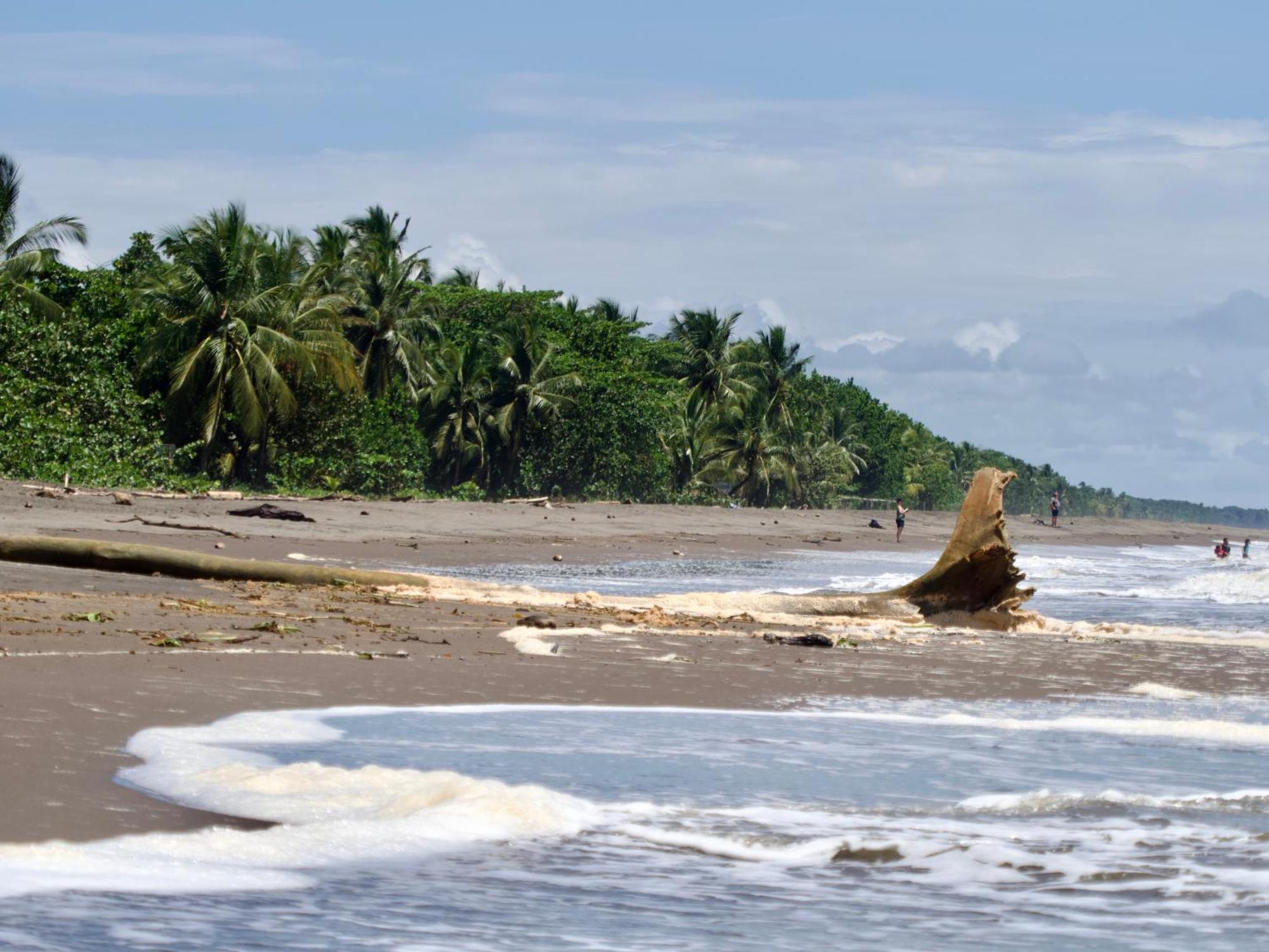 El Deseo Serendipity Tortuguero Exteriér fotografie