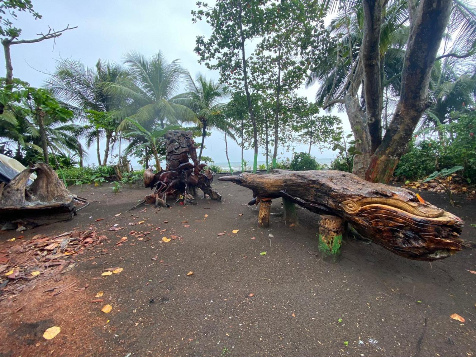 El Deseo Serendipity Tortuguero Exteriér fotografie