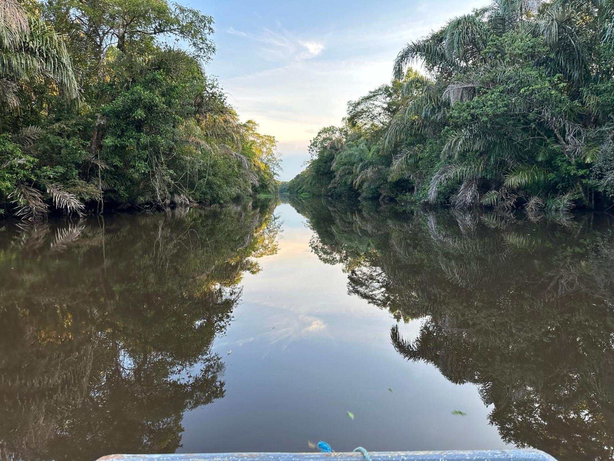El Deseo Serendipity Tortuguero Exteriér fotografie