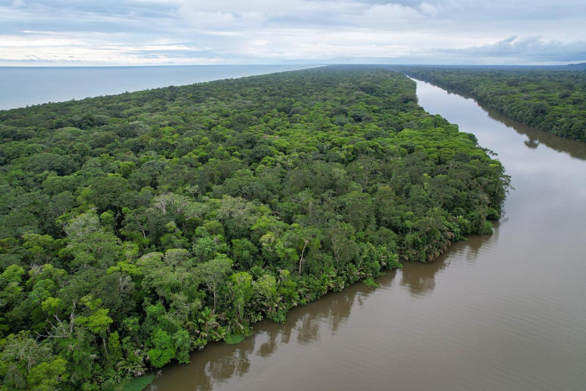 El Deseo Serendipity Tortuguero Exteriér fotografie