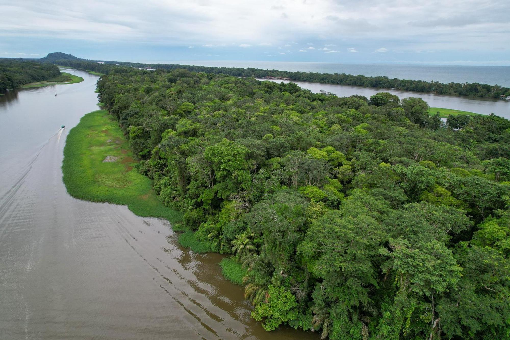 El Deseo Serendipity Tortuguero Exteriér fotografie