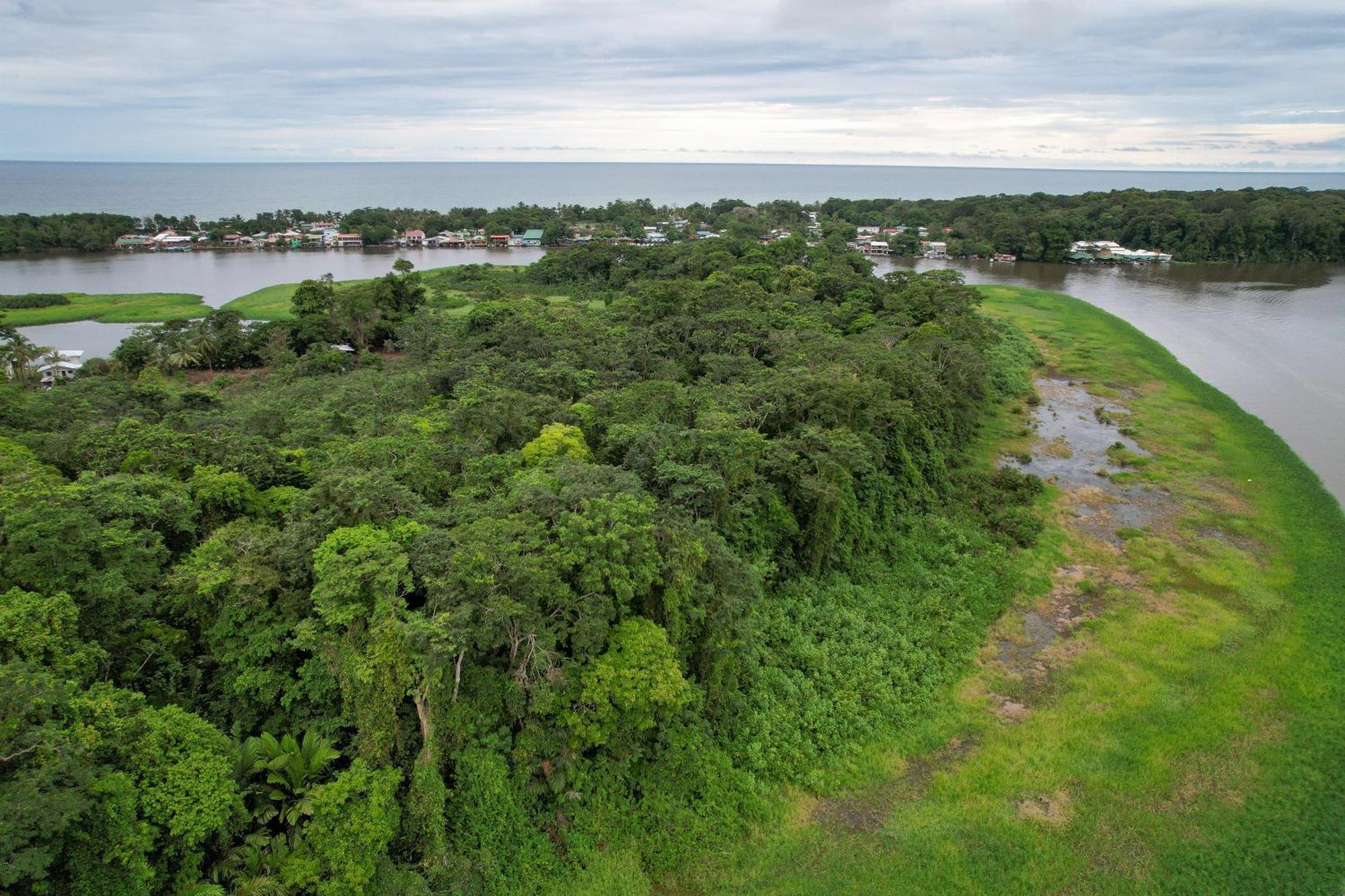 El Deseo Serendipity Tortuguero Exteriér fotografie