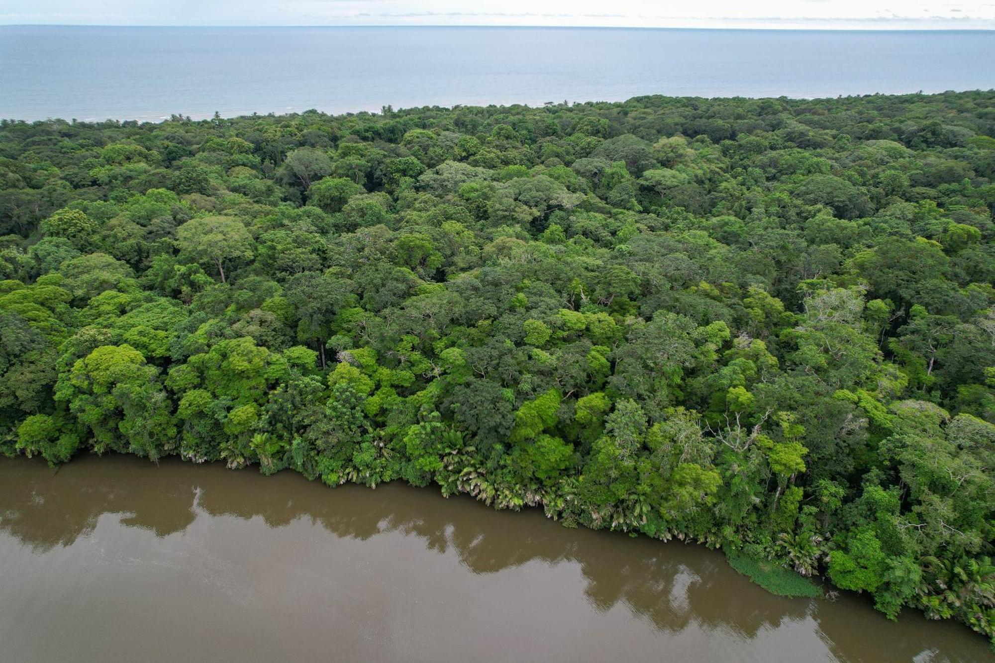 El Deseo Serendipity Tortuguero Exteriér fotografie