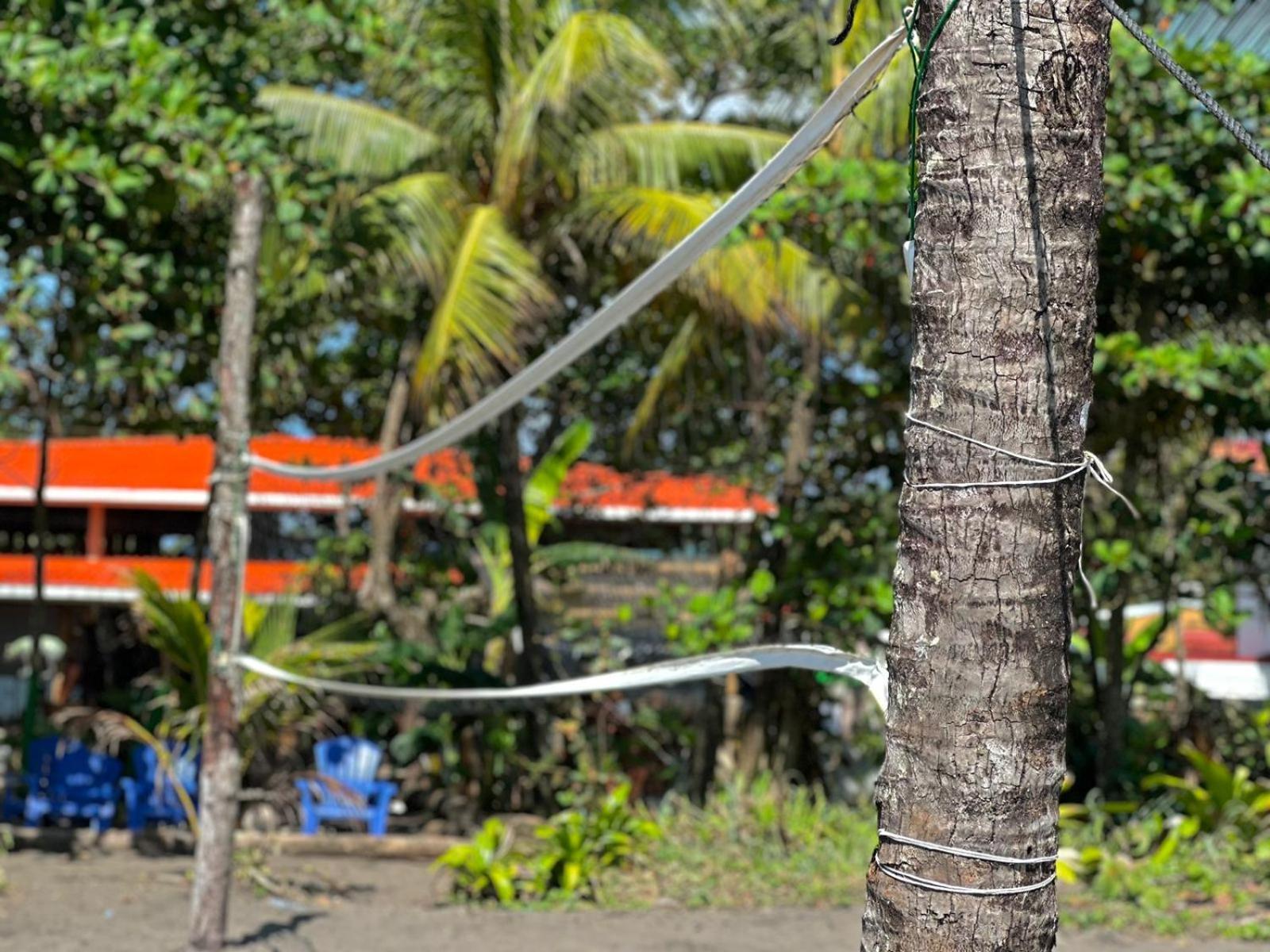 El Deseo Serendipity Tortuguero Exteriér fotografie