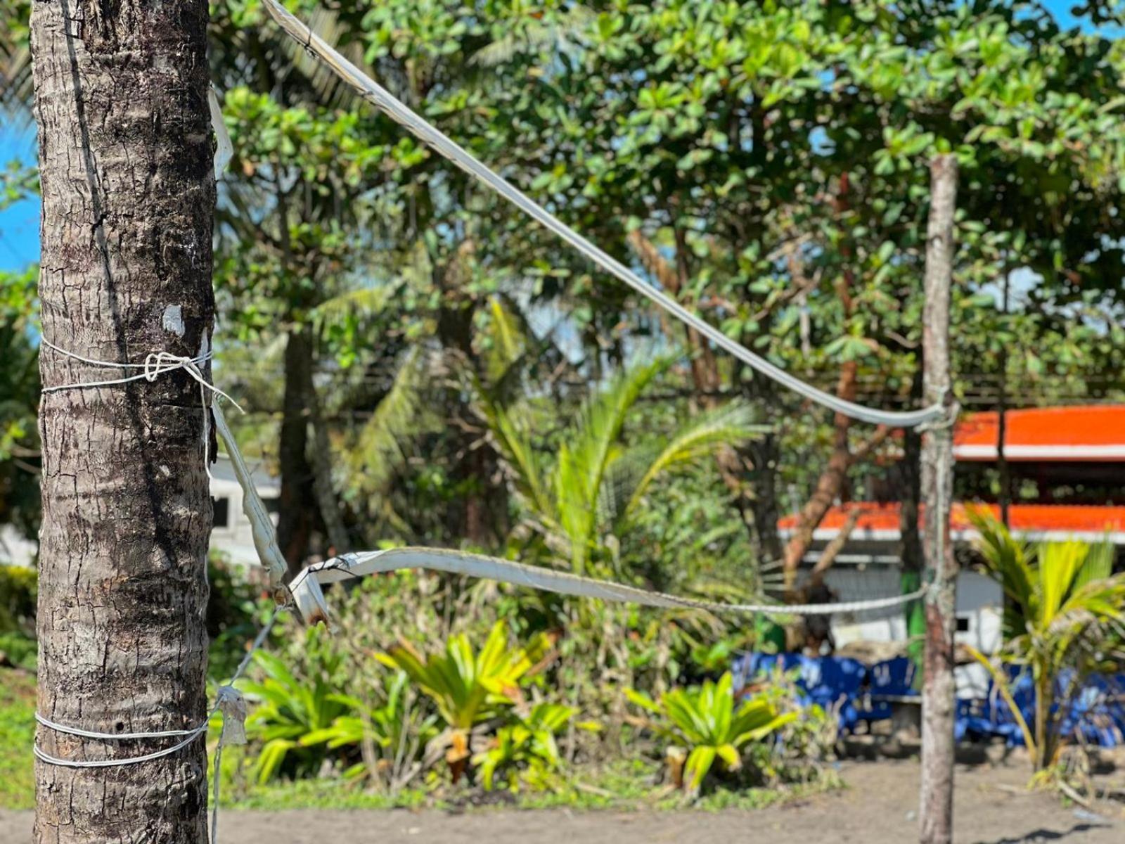El Deseo Serendipity Tortuguero Exteriér fotografie