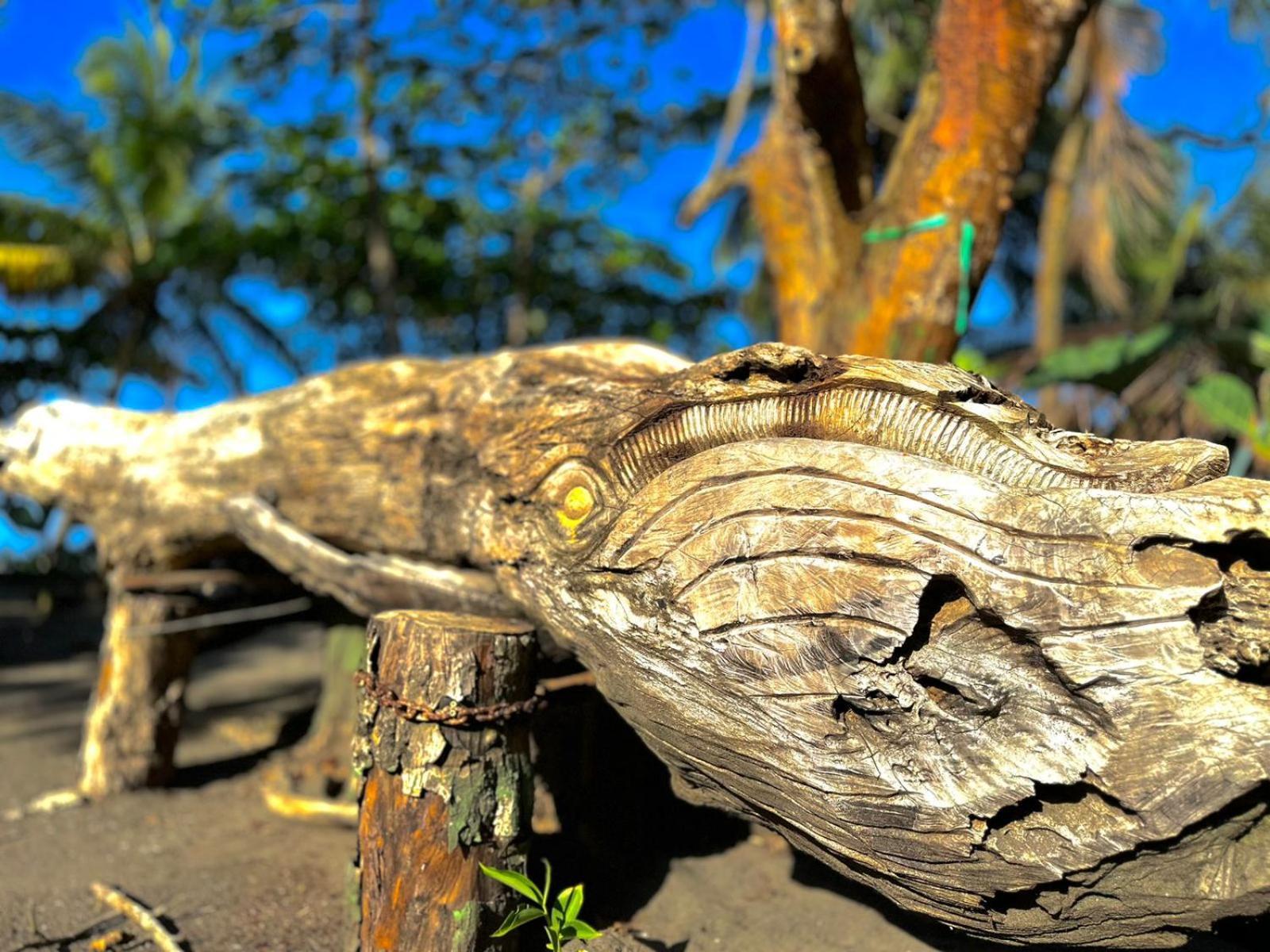 El Deseo Serendipity Tortuguero Exteriér fotografie